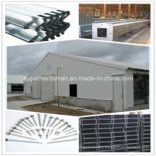 High Quality Poultry Farm and Poultry House